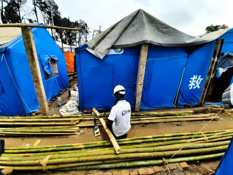 download_image_1710786678093